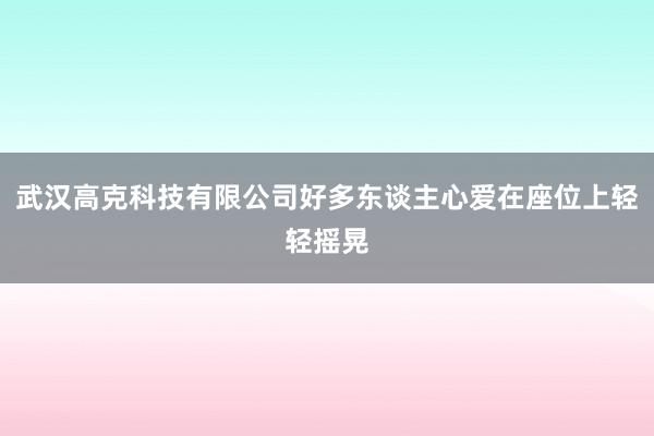 武汉高克科技有限公司好多东谈主心爱在座位上轻轻摇晃
