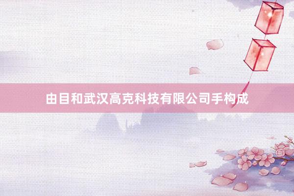 由目和武汉高克科技有限公司手构成