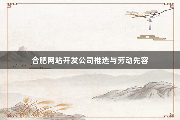 合肥网站开发公司推选与劳动先容
