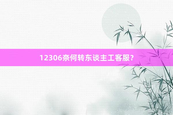 12306奈何转东谈主工客服？